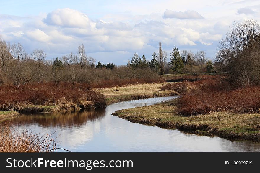 Wetland, Water, Reflection, Nature Reserve