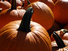 Pumpkins Stock Photos Pumpkins Stock Photos