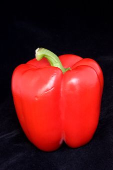 Red Bell Pepper Stock Image