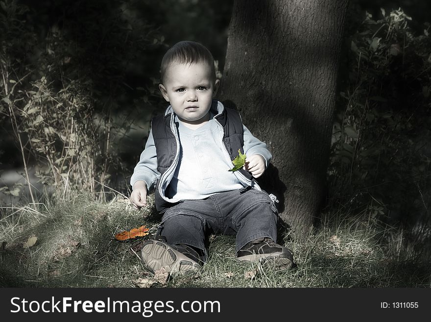 Adorable little boy playing in a park. Adorable little boy playing in a park