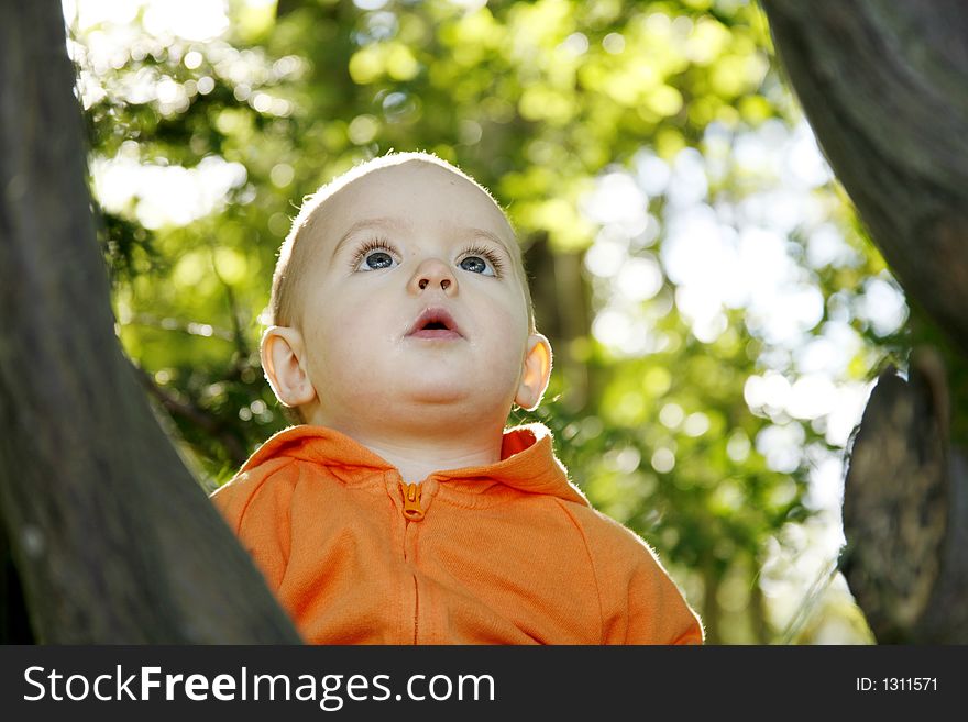 Adorable little boy playing in a park. Adorable little boy playing in a park