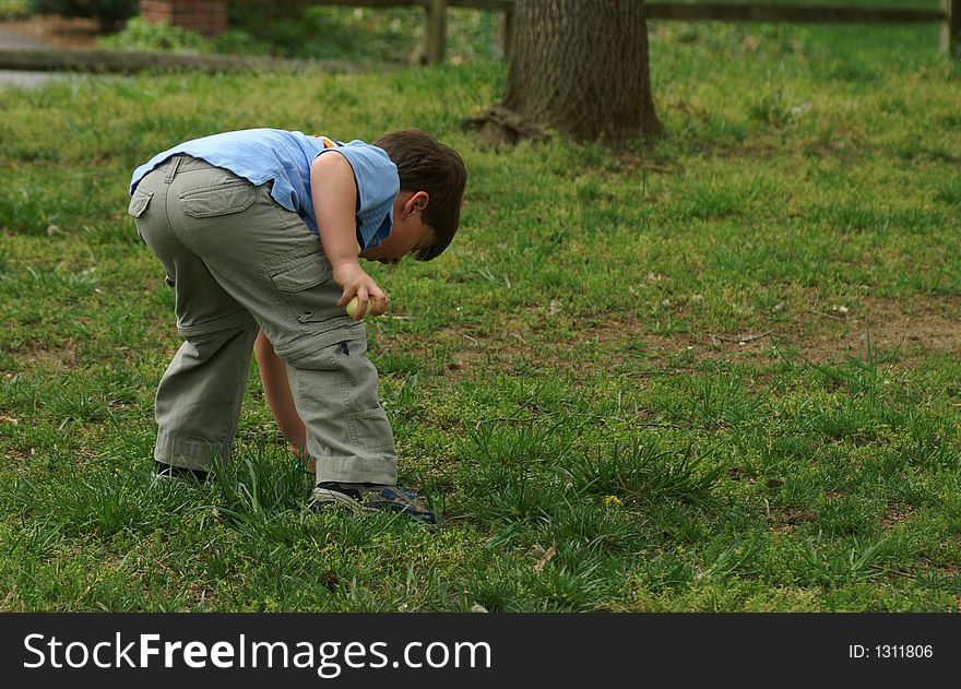 Young boy looking for Easter eggs in a back yard. Young boy looking for Easter eggs in a back yard