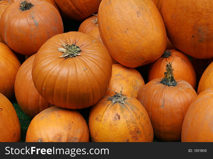 Halloween pumpkins in a large pile.