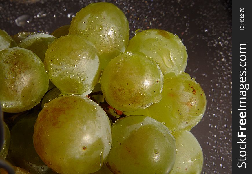 Grape with water drops on it