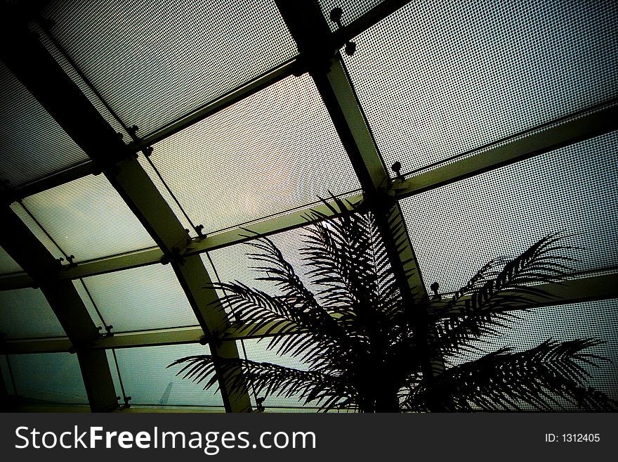 A palm silloutted against the moire pattern of the windows in Charles de Gaulle aiport. A palm silloutted against the moire pattern of the windows in Charles de Gaulle aiport.