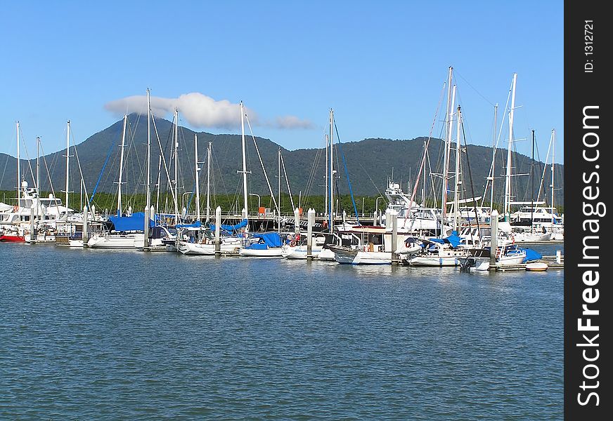 Docked yachts