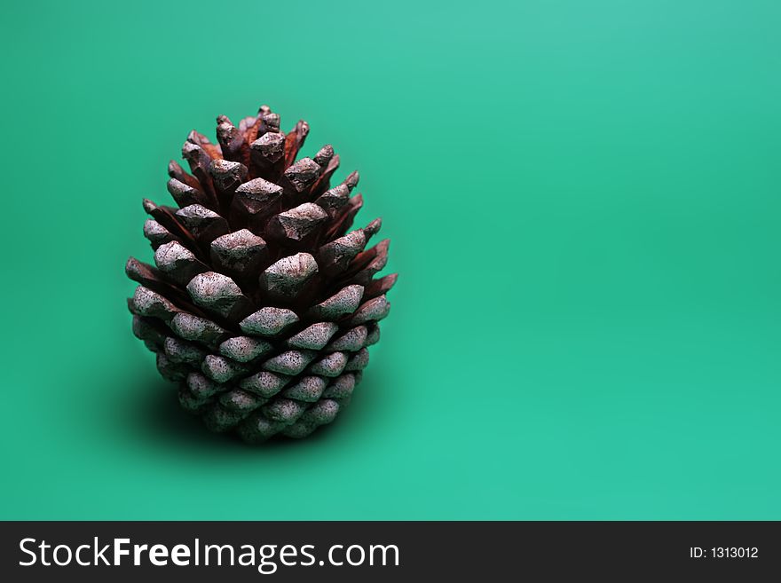 Perfect pinecone on a clean surface