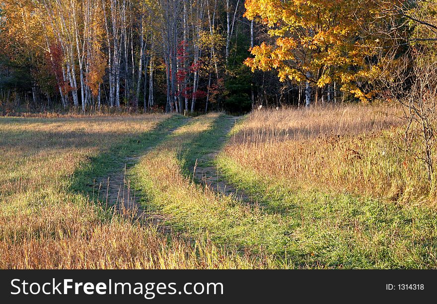 Road across a field in Autumn