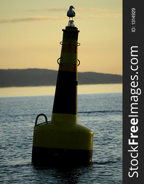 Picture of seagull sitting on sea mark. Picture of seagull sitting on sea mark.