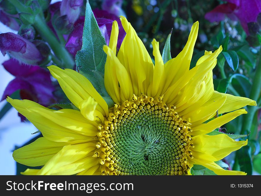 Vibrant color of a yellow flower. Vibrant color of a yellow flower