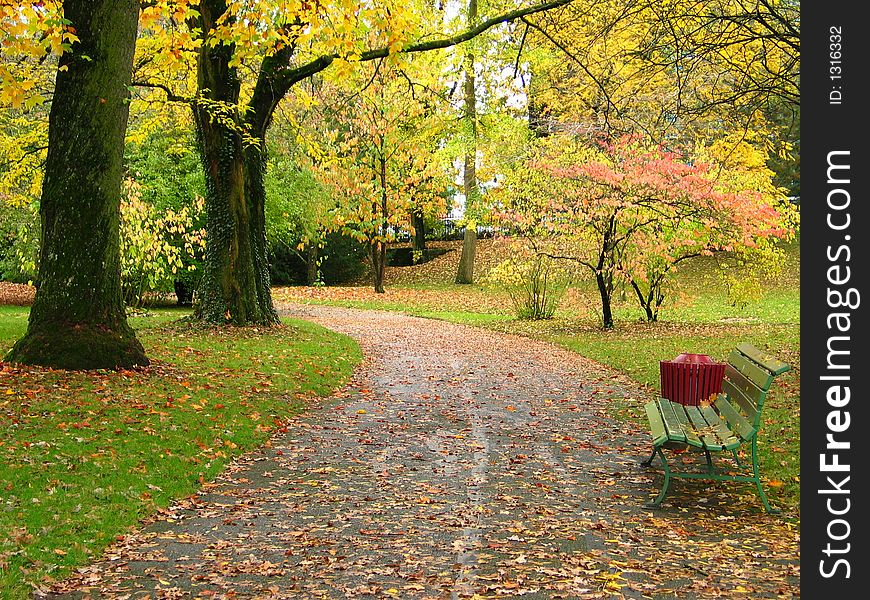 A Bench in a Park in Autumn