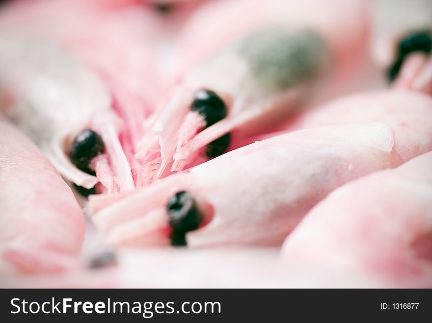 Closeup on a bunch of small shrimps, layed on a lightbox