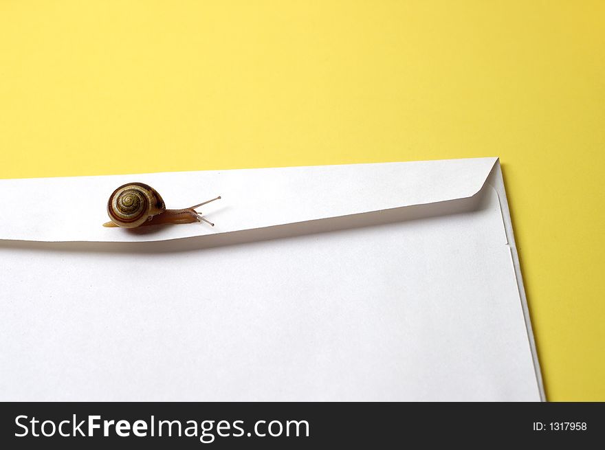 A snail crawls over an envelope to represent snail mail. A snail crawls over an envelope to represent snail mail.