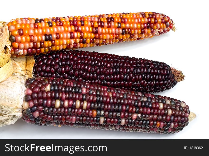 Three ears of Indian Corn shot over white. Three ears of Indian Corn shot over white