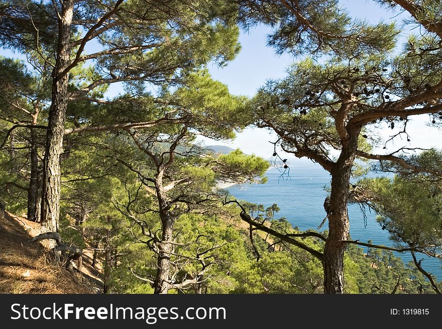 Sea coast on Black sea