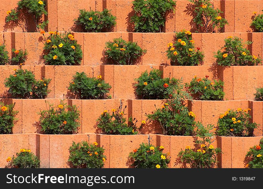 Flower beds on a ledged wall