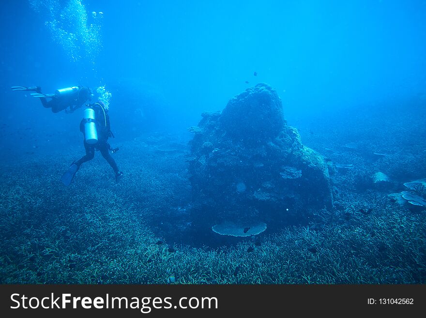 Beautiful diving underwater with Fishes and Corals at Losin south of Thailand 2018