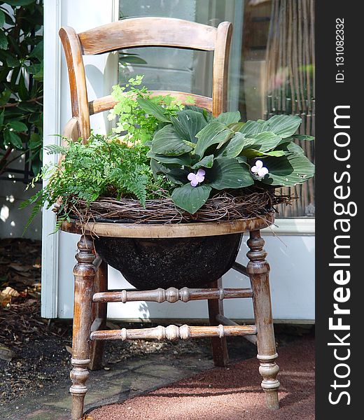 Plant, Furniture, Flowerpot, Table
