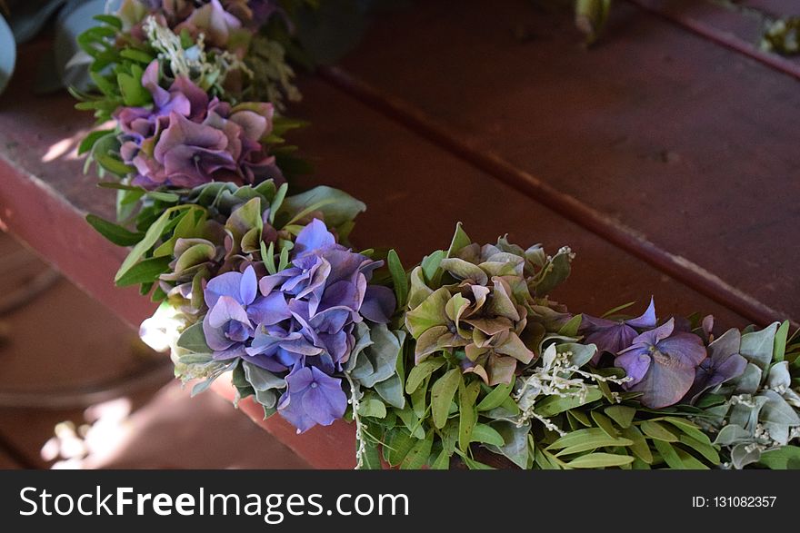 Flower, Plant, Floristry, Purple