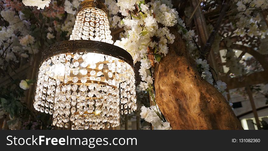 Light Fixture, Chandelier, Lighting, Flower