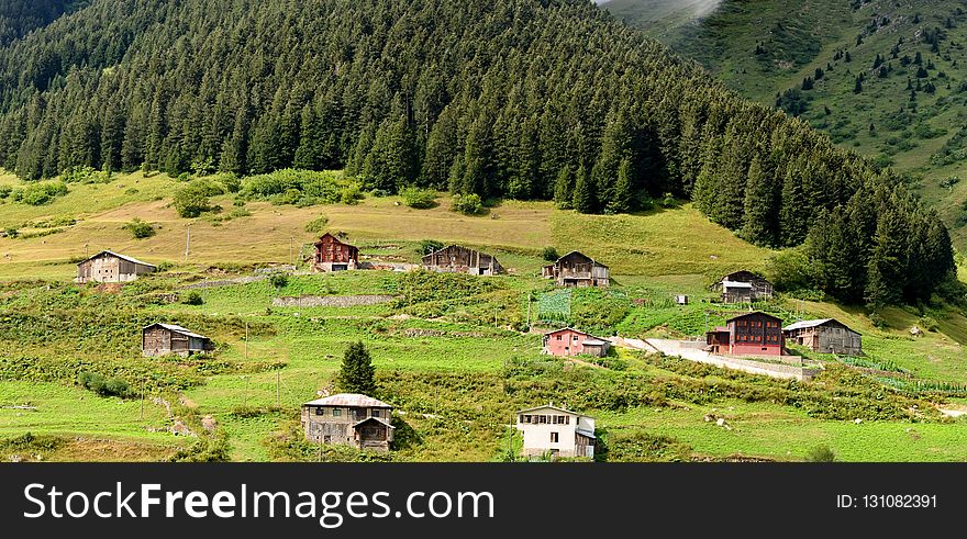 Mountain Village, Grassland, Nature Reserve, Pasture