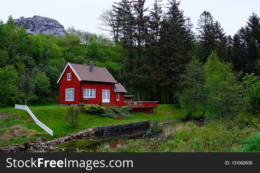 Nature, Wilderness, Cottage, House