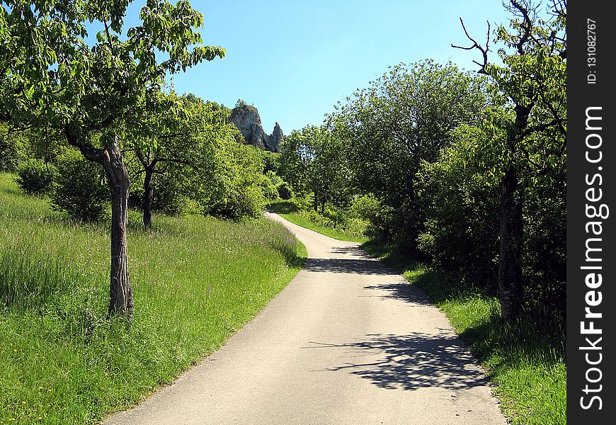 Road, Path, Nature, Vegetation