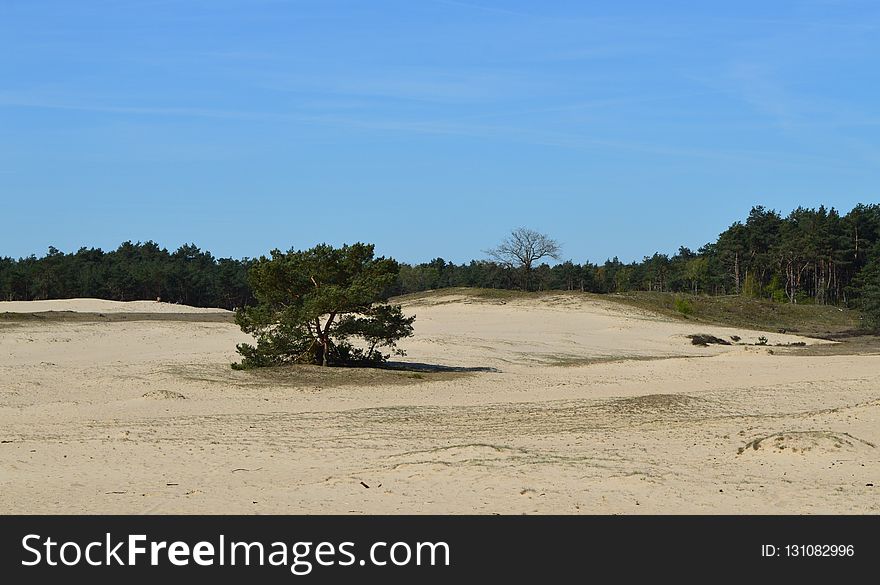 Sand, Aeolian Landform, Beach, Dune