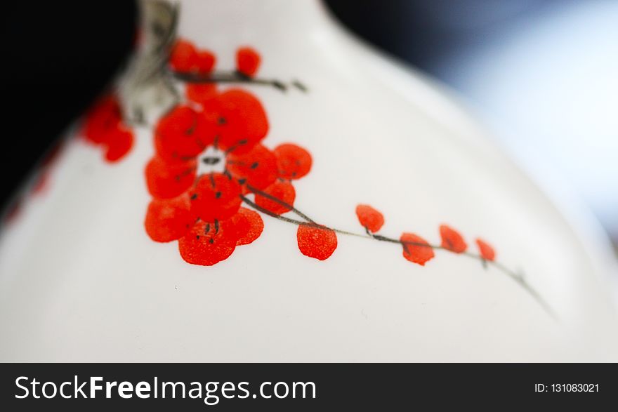 Red, Flower, Close Up, Macro Photography