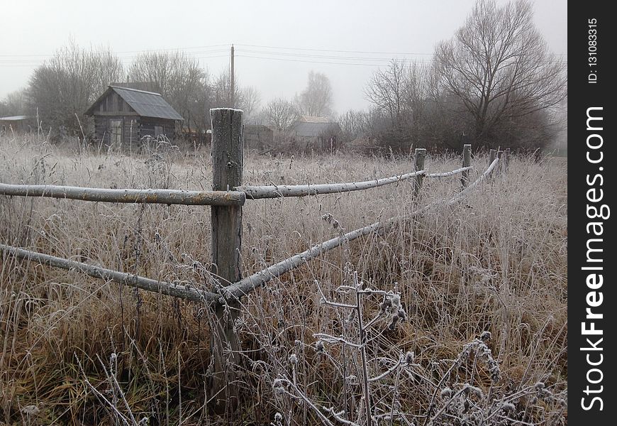 Frost, Winter, Tree, Fence