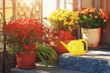 Colorful Flowers In Pots On Home Porch With Watering Can. Sunlight With Decorative Flowers Stock Photos
