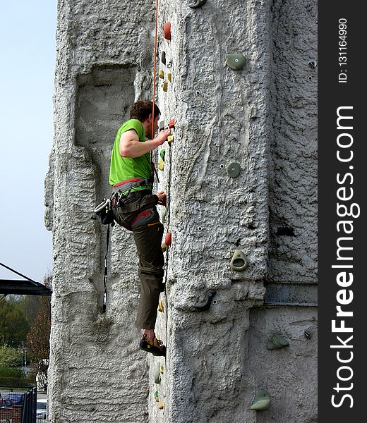 Climbing, Tree, Adventure, Rock Climbing