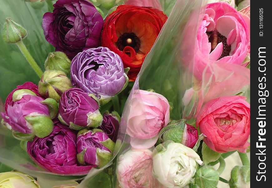 Flower, Pink, Flower Arranging, Floristry