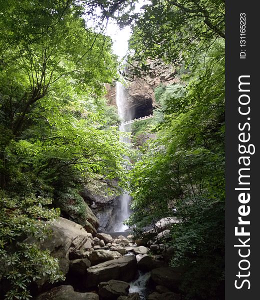 Waterfall, Nature, Vegetation, Nature Reserve