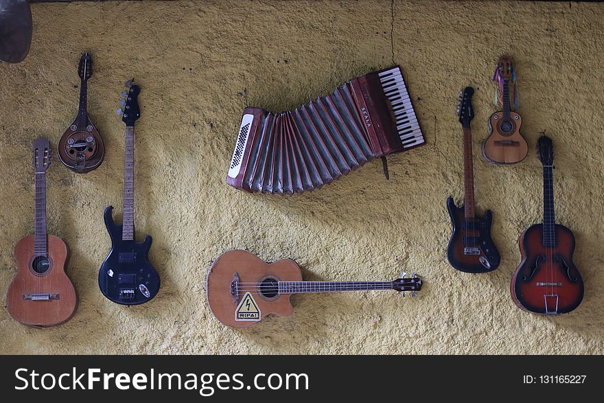 Musical Instrument, Guitar, Bass Guitar, Plucked String Instruments