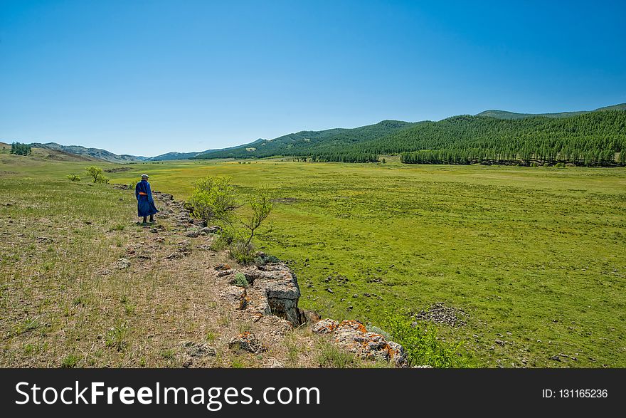 Grassland, Ecosystem, Pasture, Wilderness