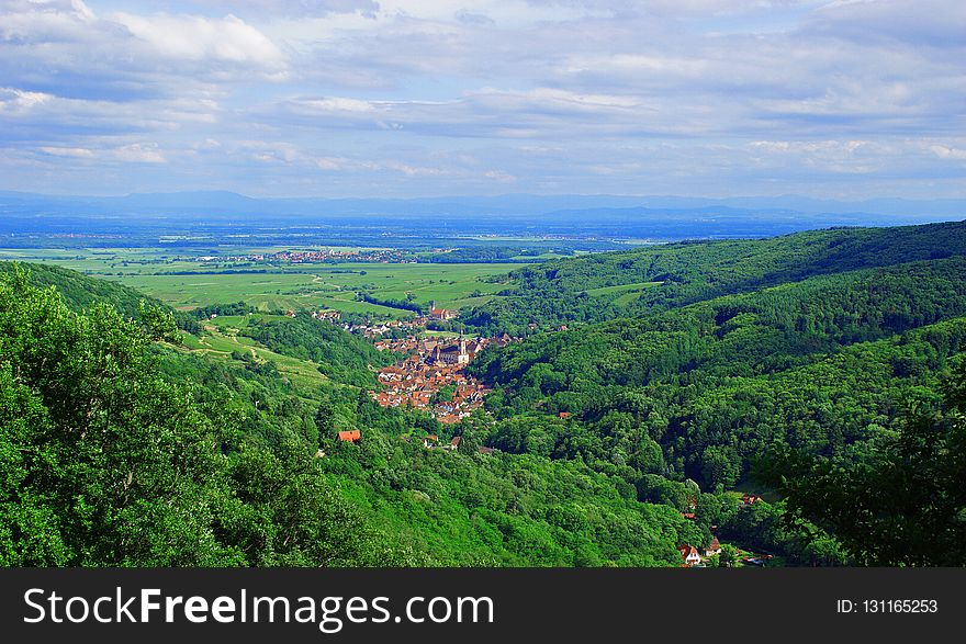 Nature, Sky, Vegetation, Leaf