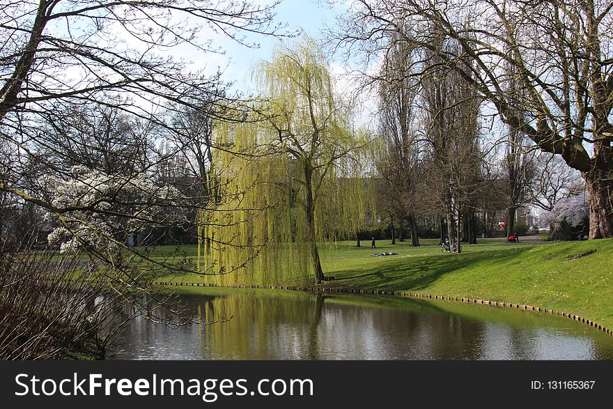 Waterway, Water, Reflection, Tree