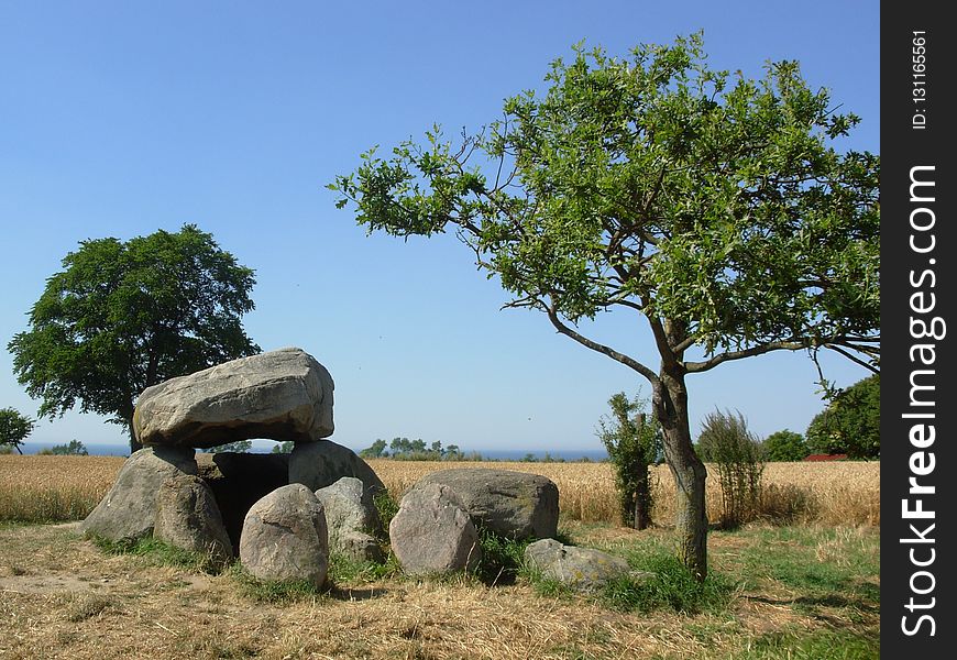 Tree, Nature Reserve, Rock, Sky