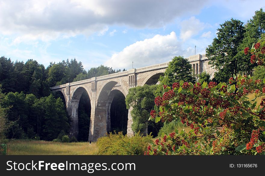 Viaduct, Bridge, Arch Bridge, Leaf