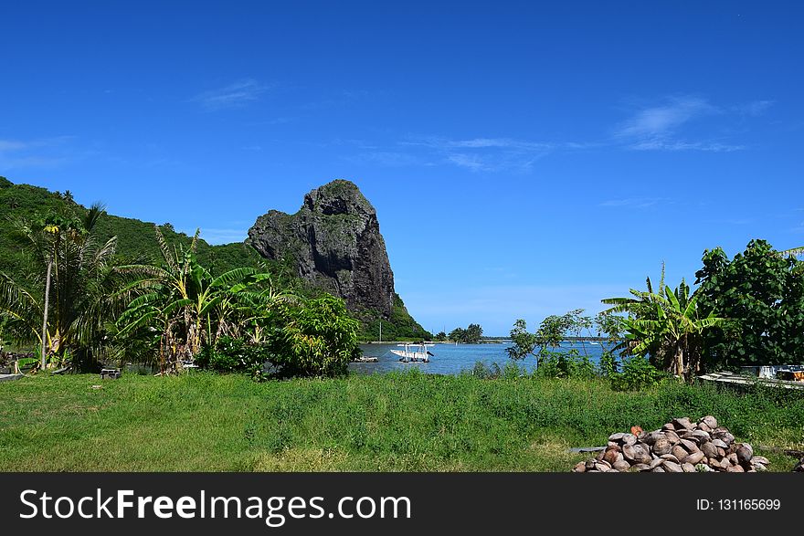 Vegetation, Nature Reserve, Sky, Mount Scenery