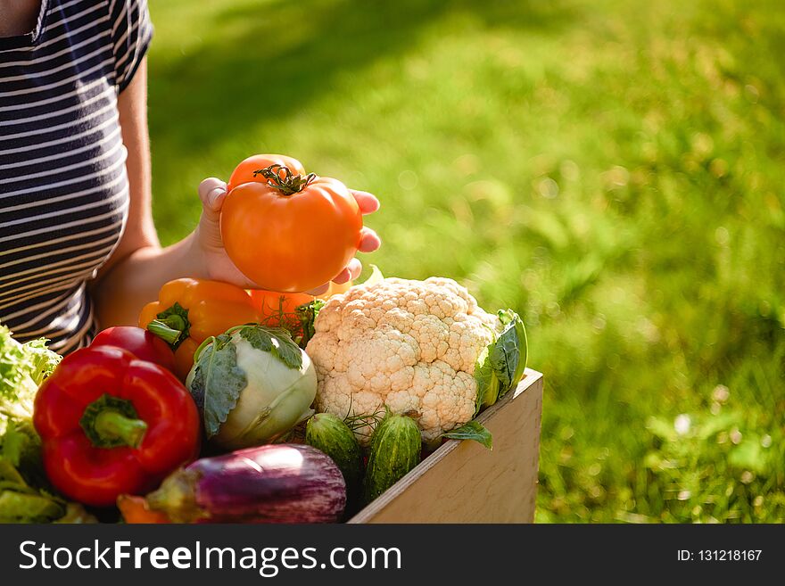 Woman holds wooden box or crate full of freshly harvested vegetables, green grass background