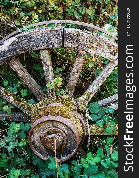 Detail of old abandoned wagon wheel in the countryside