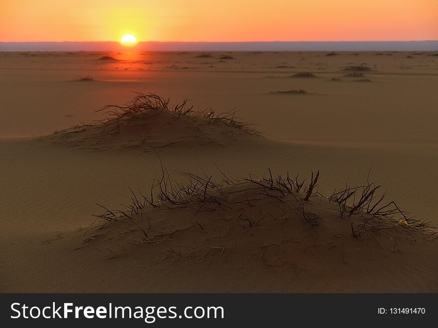 Sahara Desert Sunset. Africa