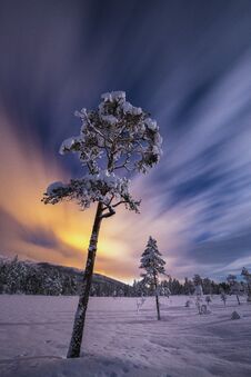 Full Moon Light Over Snow Covered Forest In Heia, Grong Area, North Norway Stock Images