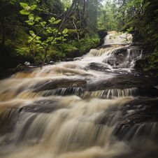 Forest Mountain Stream After Rainy Days, Summer In Norway Royalty Free Stock Photography