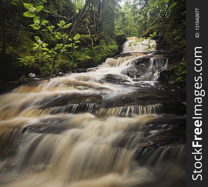 Forest mountain stream after rainy days, summer in Norway. Jonsvatnet area near Trondheim.