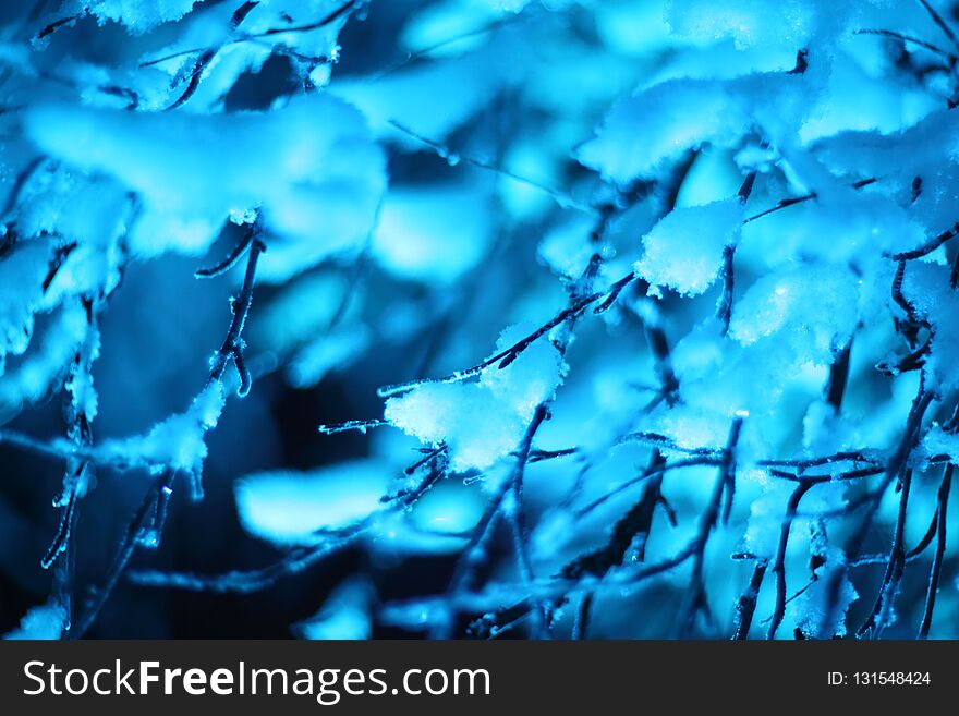 Glowing lights in winter forest