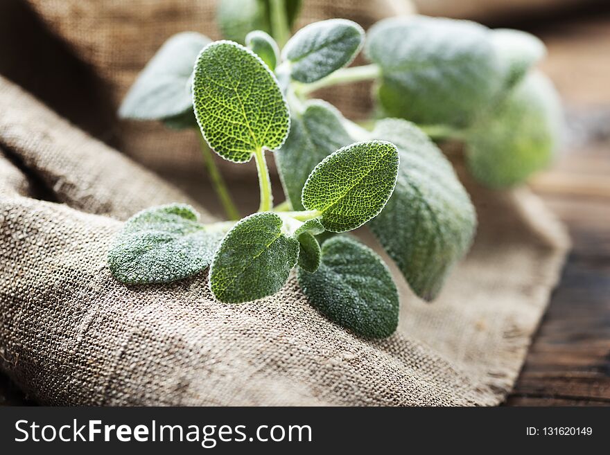 Fresh sage leaf on the wooden table, selective focus