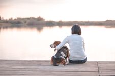 Pretty Young Woman Hugging Her Dog Basset Hound On The Wooden Dock On The River Royalty Free Stock Images